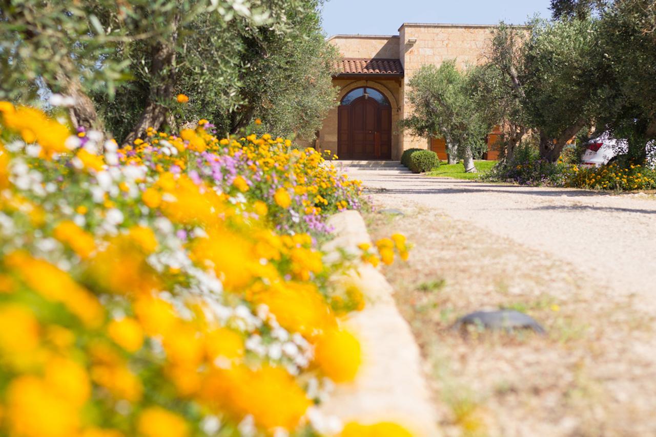 Biancolivo Gallipoli In Salento Eksteriør bilde